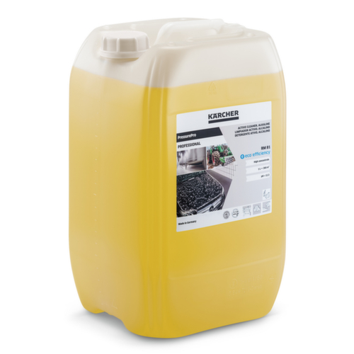 Kärcher Aktivreiniger RM 81 ASF eco!efficiency für Planen/Fahrzeuge/Motoren, 20 l Kanister Standard 1 L