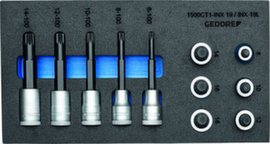 GEDORE 1500 CT1-INX 19 LK Satz Schraubendrehereinsätze 1/2" in Check-Tool-Modul