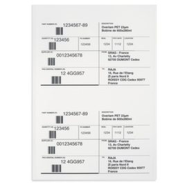 Widerstandsfähige Etiketten 210 x 297 mm