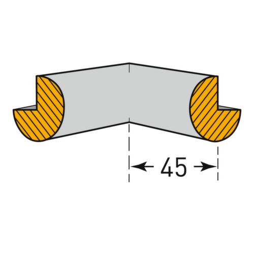 Moravia Eckenschutz