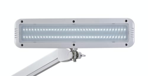 MAUL Kompakte LED-Arbeitsplatzleuchte MAULintro dimmbar, Licht kaltweiß (tageslichtweiß), weiß