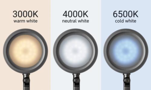 MAUL LED-Schreibtischleuchte MAULgrace colour vario mit einstellbarer Farbtemperatur, Licht tageslicht- bis warmweiß, silber